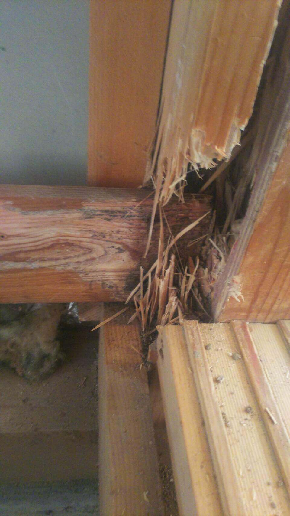 玄関柱のシロアリ被害